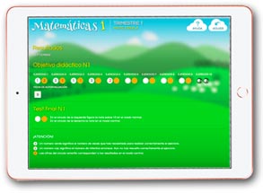 Acceso inmediato al trabajo evaluado